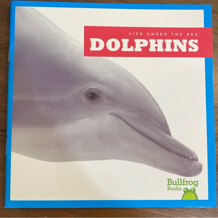 Dolphins