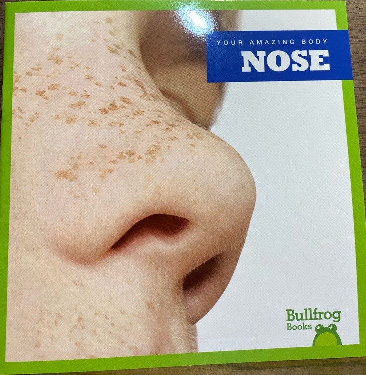 Nose