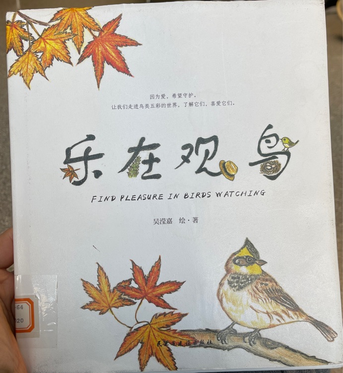 樂在觀鳥