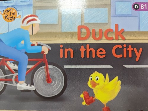 duck in the city