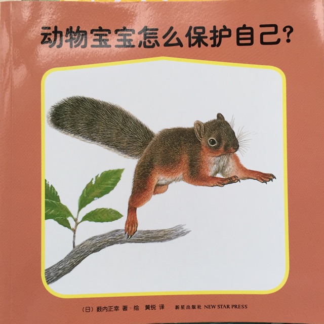 動物寶寶怎么保護(hù)自己
