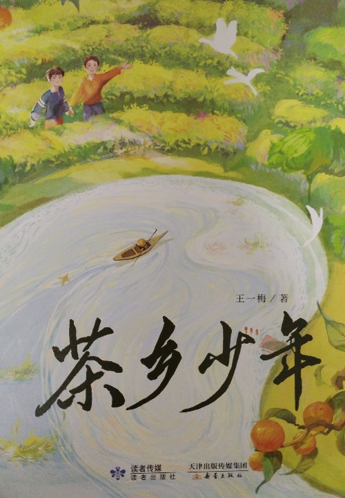 茶鄉(xiāng)少年