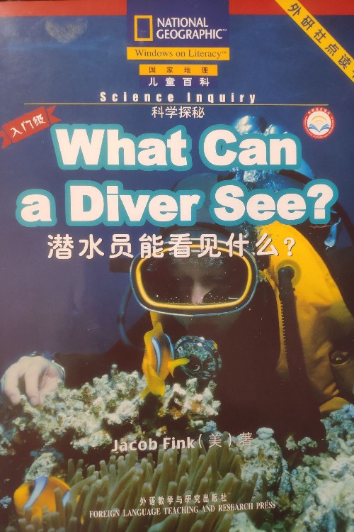 What can a diver see