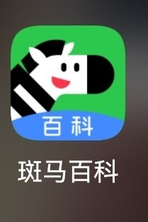 斑馬百科