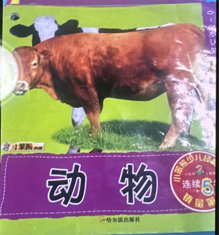 小笨熊典藏 動物