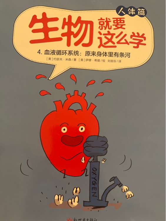 生物就要這么學(xué)血液循環(huán)系統(tǒng)原來身體里有條河