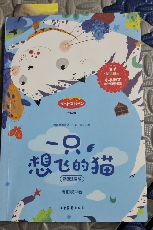 一只想飛的貓
