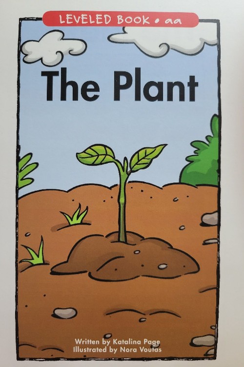 the plant