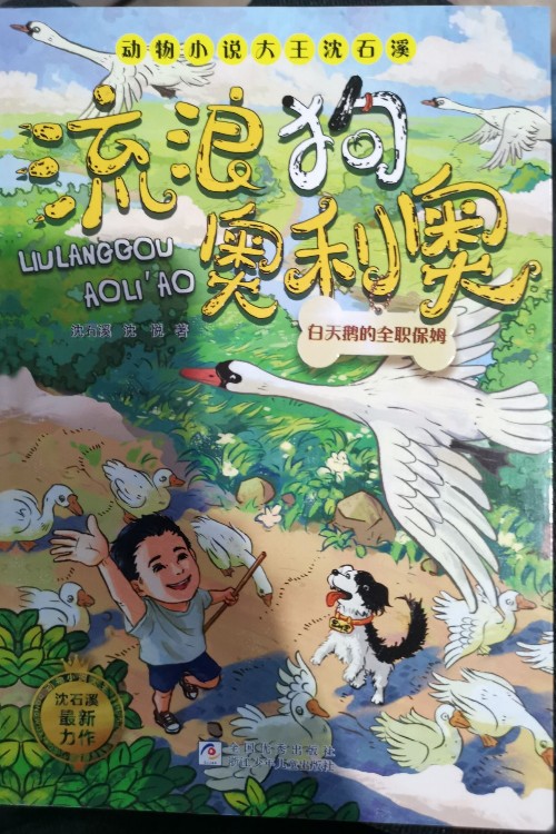 流浪狗奧利奧