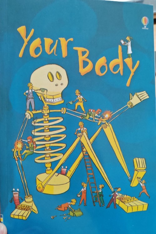 Your body