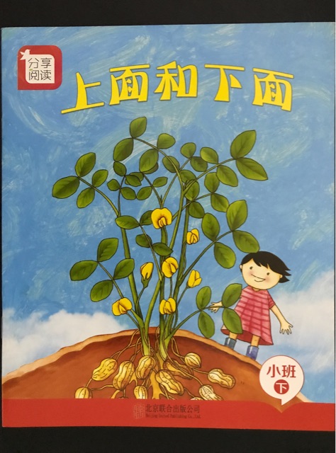 分享閱讀(小班-下, 11): 上面和下面