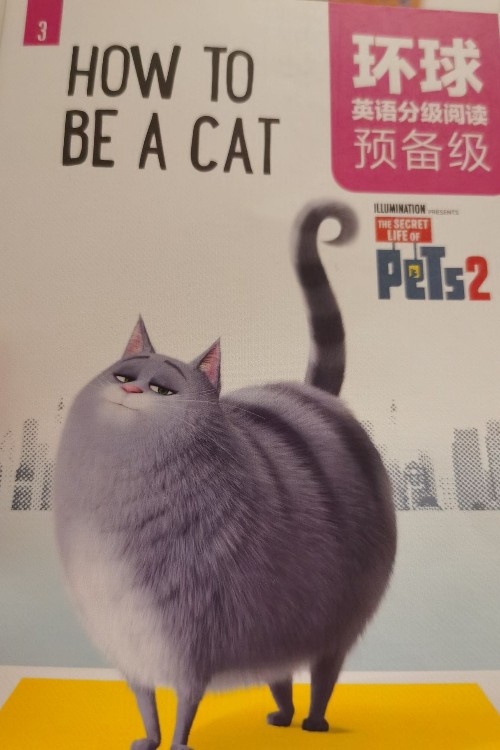 how to be a cat