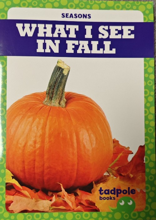 What I See In Fall