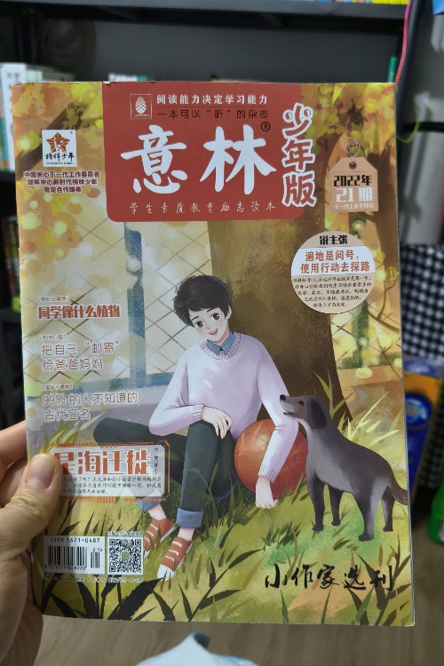 意林