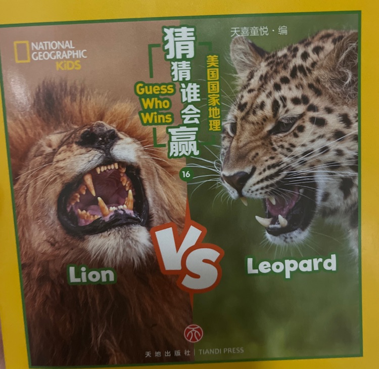 Guess who wins lion vs leopard