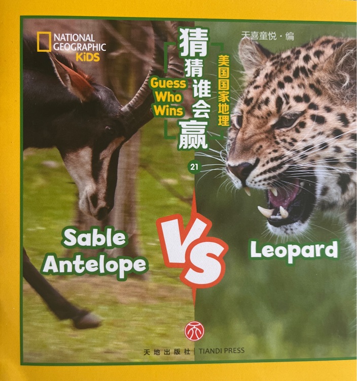 Guess who wins sable antelope vs leopard