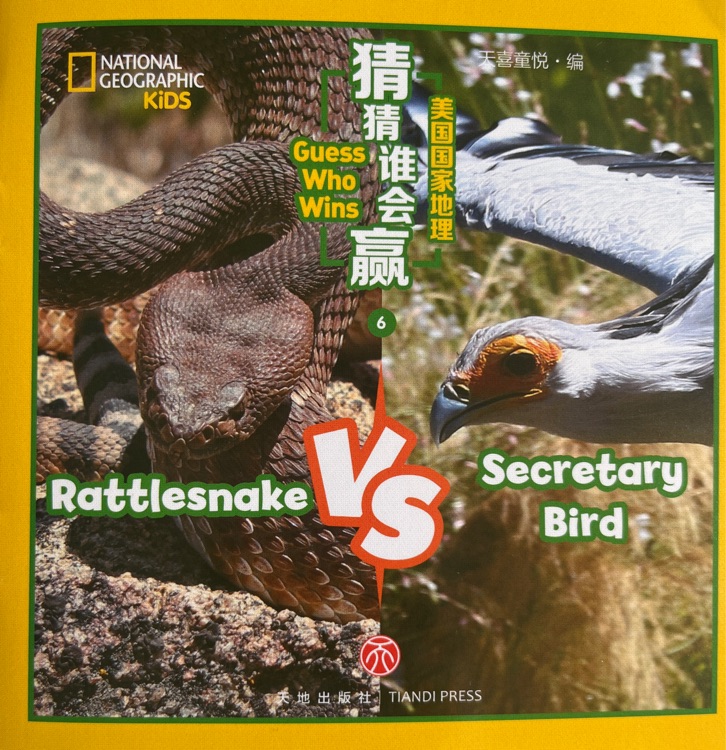 Guess who wins rattlesnake vs secretary bird