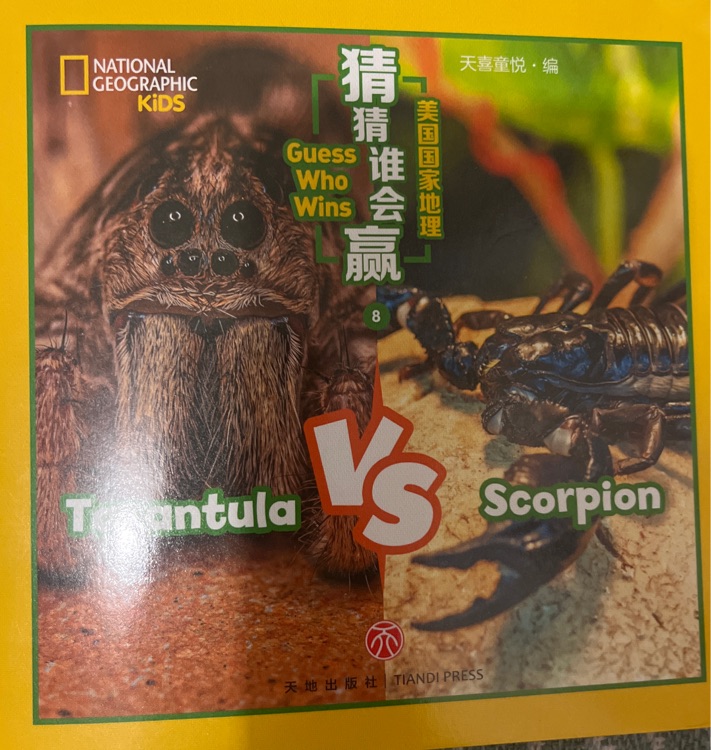 Guess who wins tarantula vs scorpion