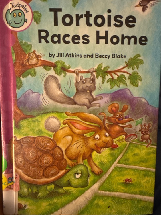 Tortoise Races Home