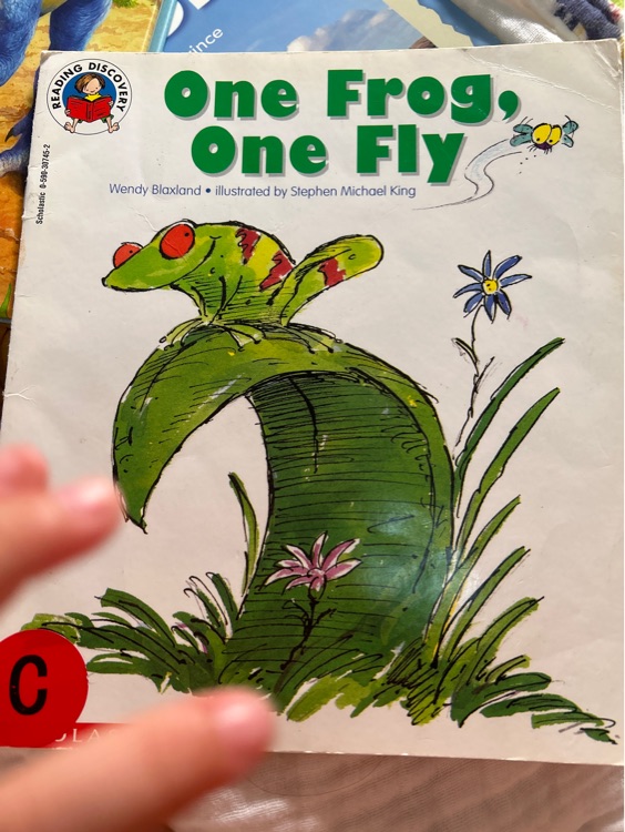 One frog, one fly