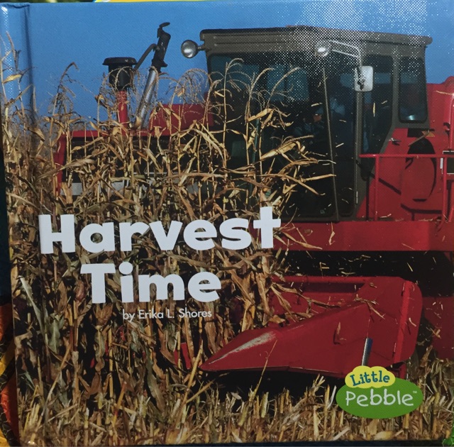 harvest time