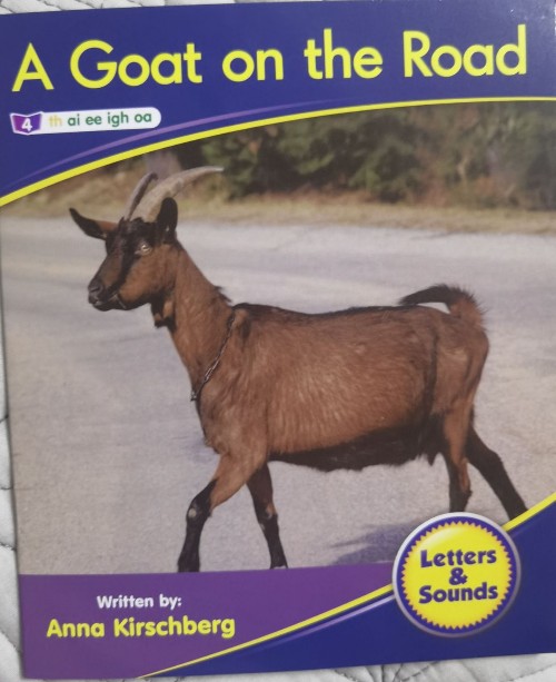 A Goat on the road