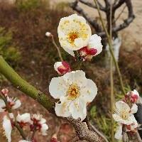 閱讀悅讀時光