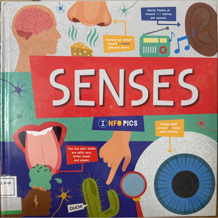 senses