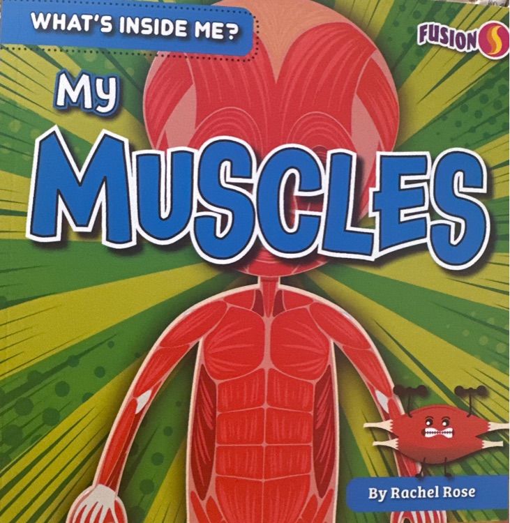 my muscles