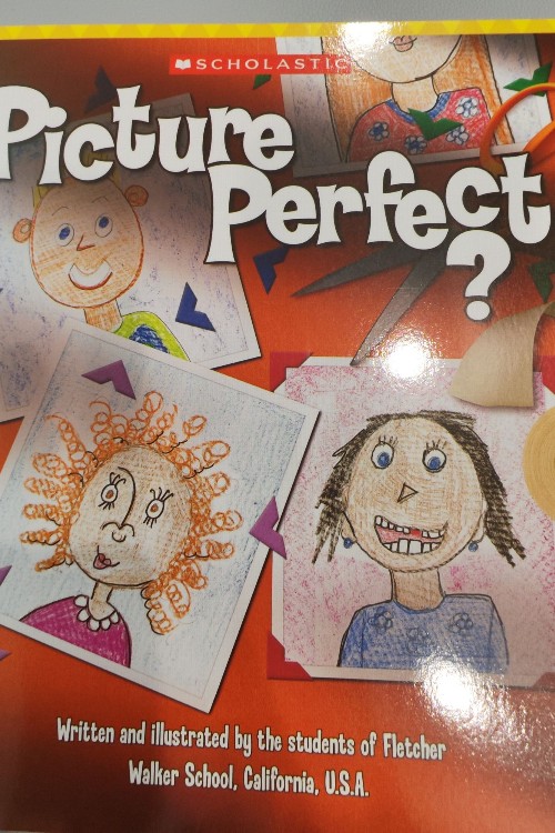 Picture Perfect?
(Scholastic Everyday Book box 3)(Grl H)