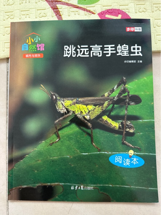 跳遠(yuǎn)高手蝗蟲