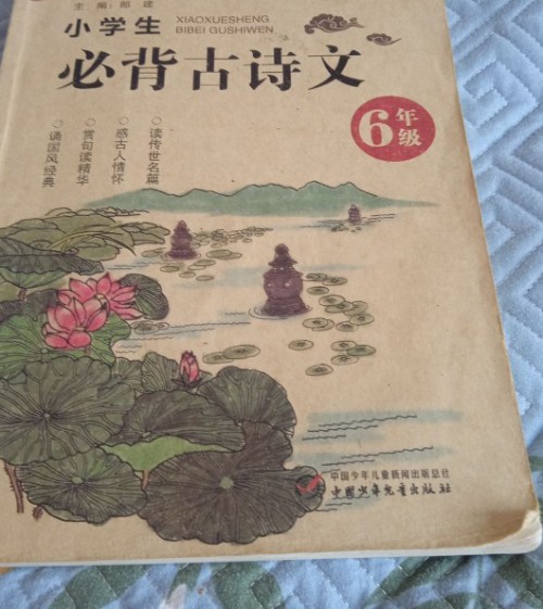 小學(xué)生古詩(shī)詞75+80首導(dǎo)圖速背版