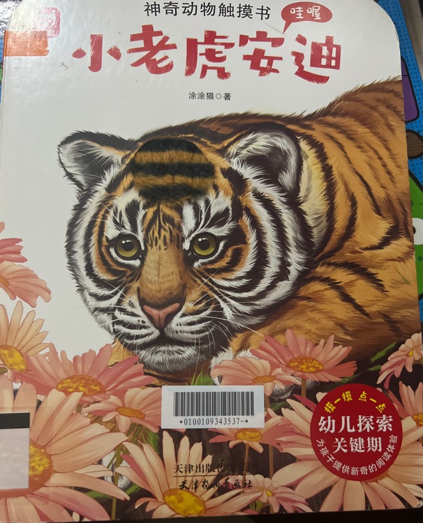 神奇動物觸摸書: 小老虎安迪 哇喔