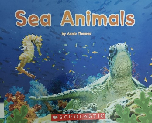 Sea Animals