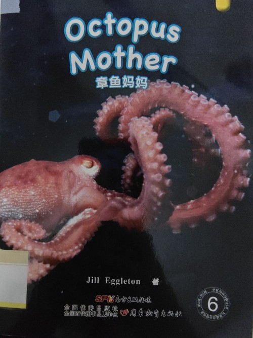 Octopus Mother