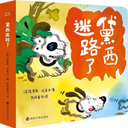 黛西迷路了