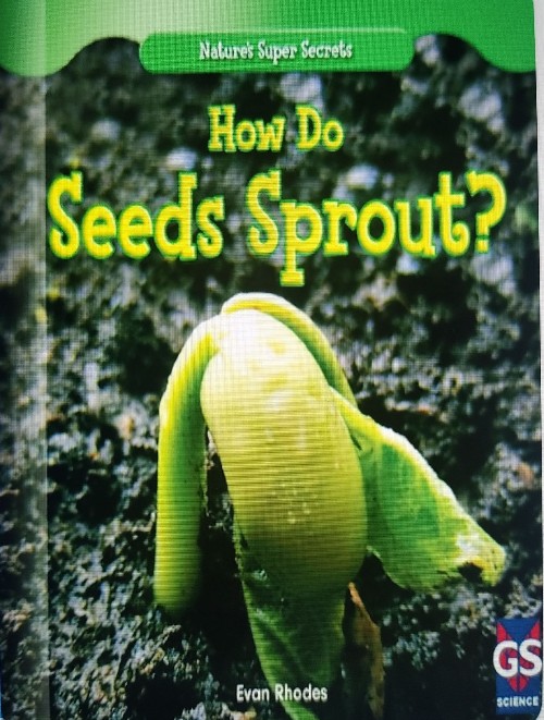 How do seeds sprout?