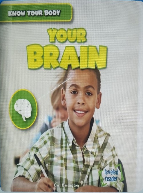 Your brain