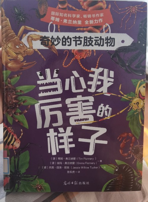 當心我厲害的樣子