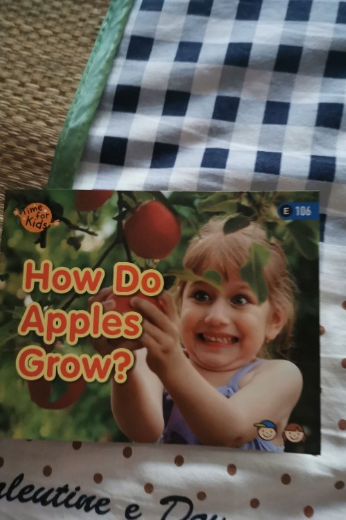 How do apples grow