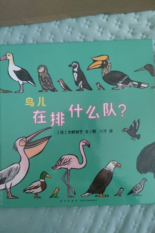 鳥兒在排什么隊?