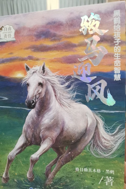 駿馬迎風(fēng)