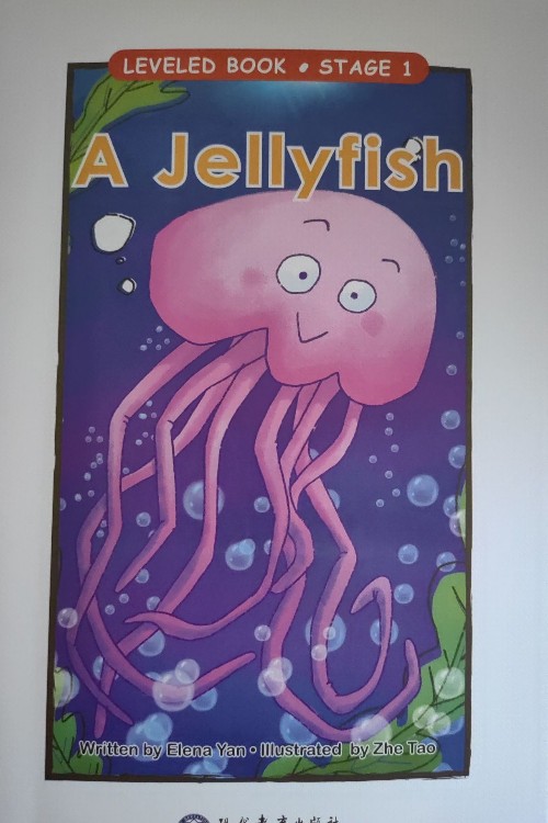 A Jellyfish(RAZ)