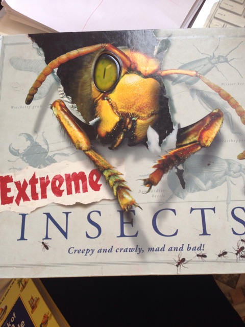 Extreme insects