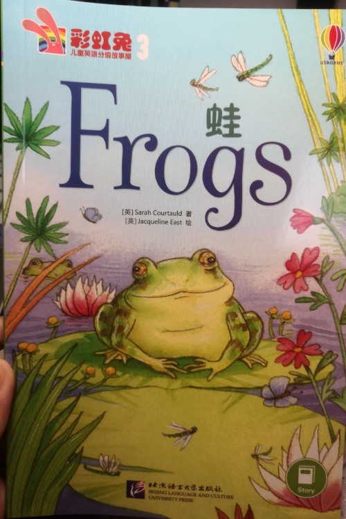 蛙Frogs