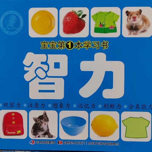 寶寶第一本學習書-智力