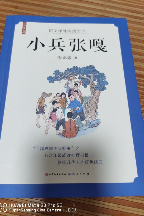 小兵張嘎
