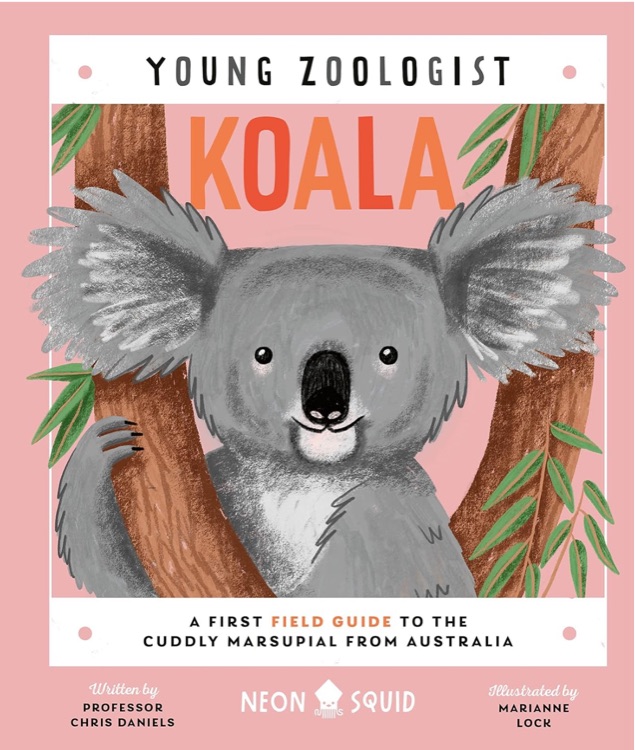 Young Zoologist: Koala