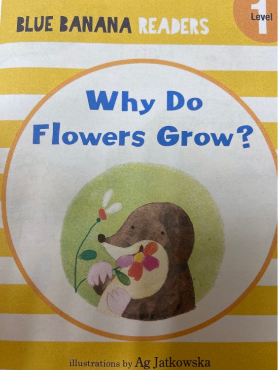 Why do flowers grow