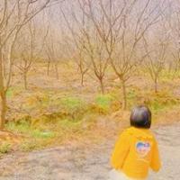 小銥銥